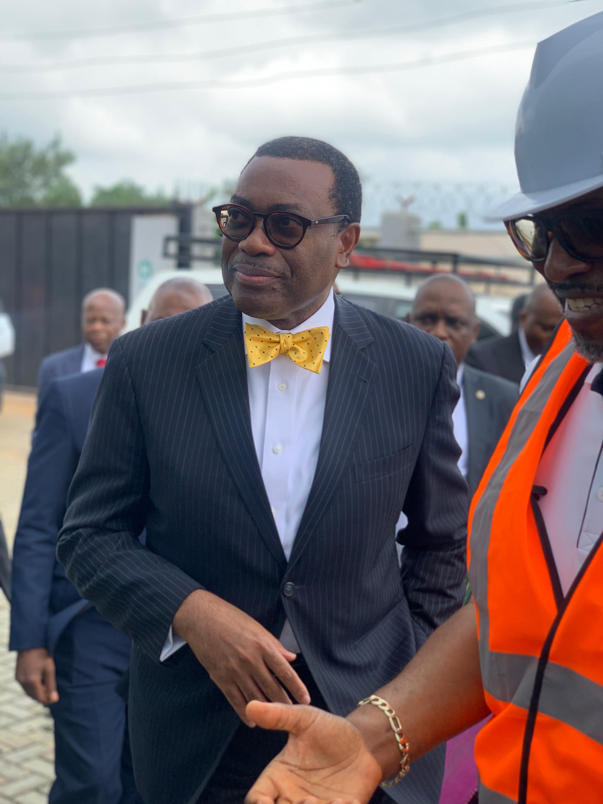 AFDB President, Dr Adesina supports SAGLEV